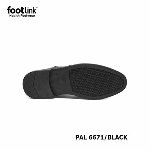 D71 Model PAL 6671 D71 Model PAL 6671